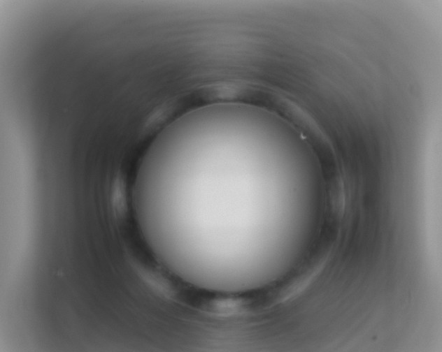 X0000111650216200907241138