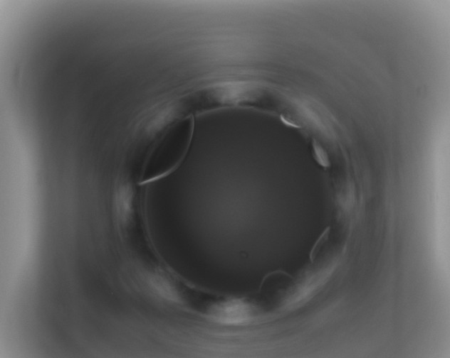 X0000111650219200907241138
