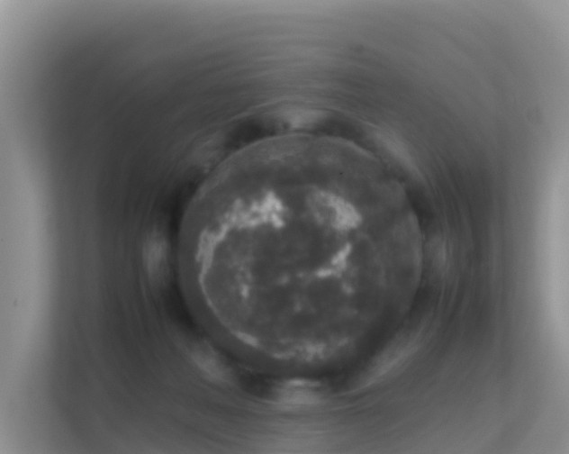 X0000111650222200907241138