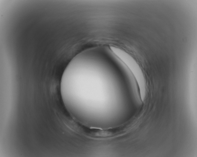 X0000111650225200907241138