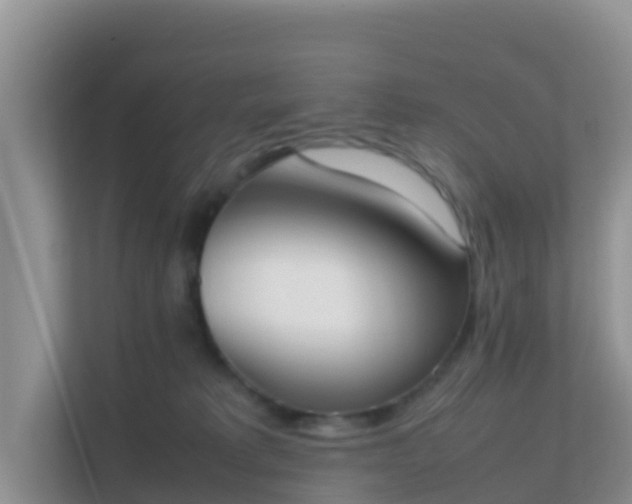X0000111650229200907241138