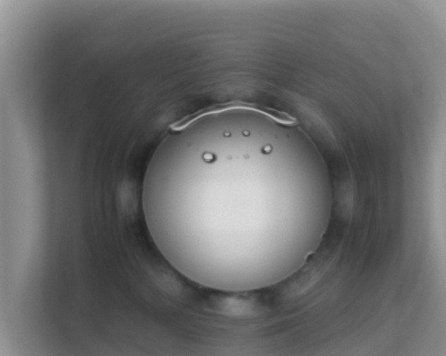 X0000111650232200907241138