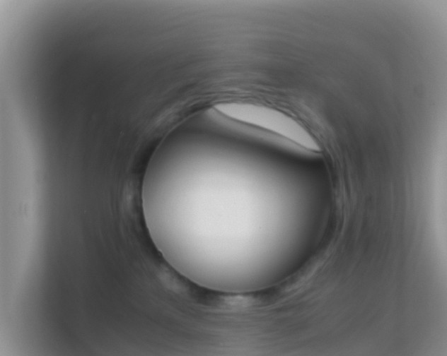 X0000111650233200907241138
