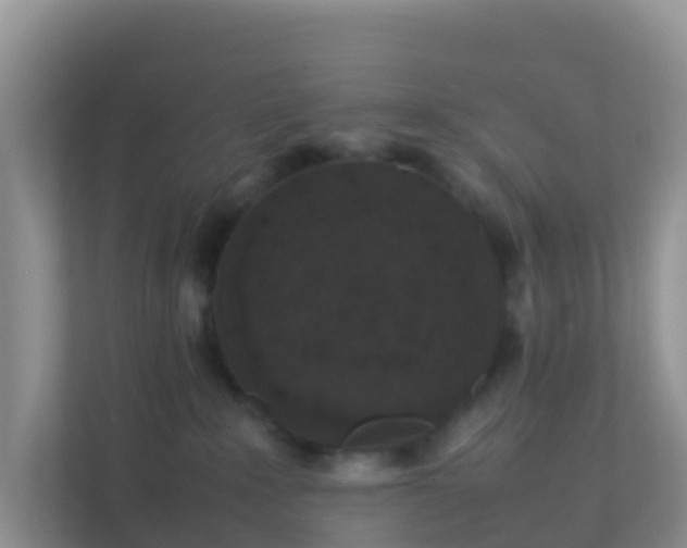 X0000111650235200907241138