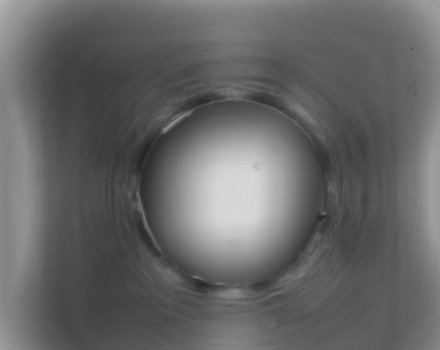 X0000111650237200907241138