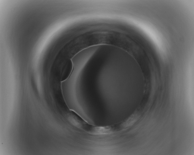 X0000111650239200907241138