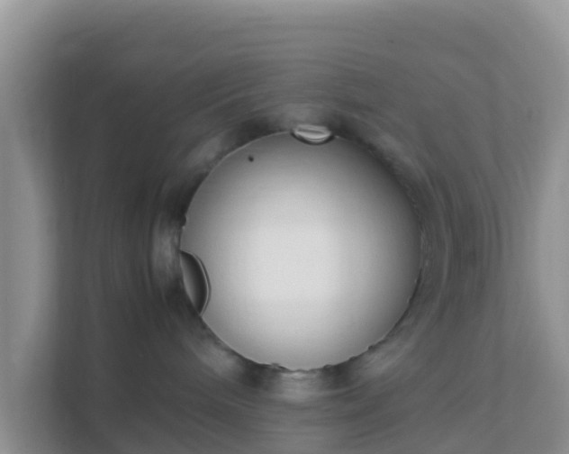 X0000111650240200907241138