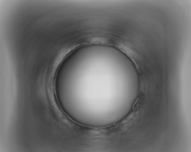 X0000111650241200907241137