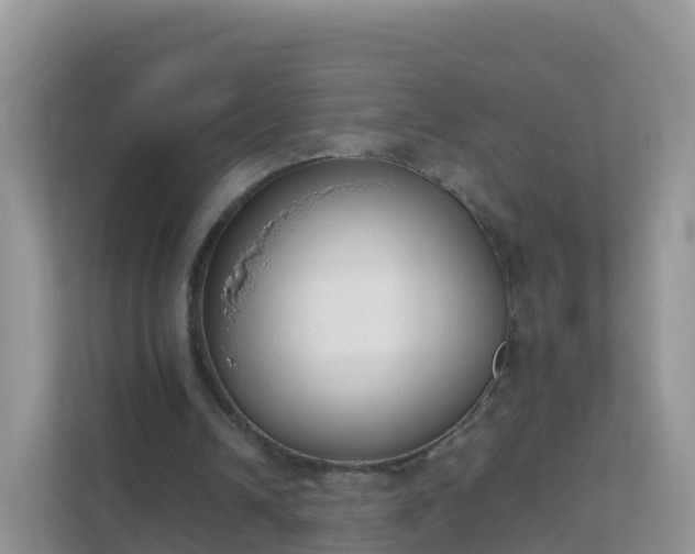 X0000111650242200907241137