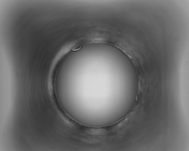 X0000111650245200907241137