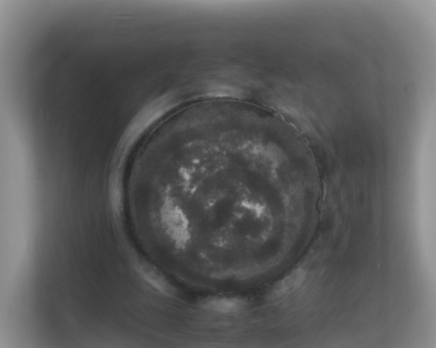 X0000111650247200907241137