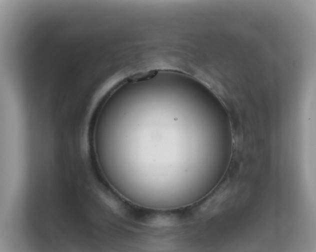 X0000111650248200907241137