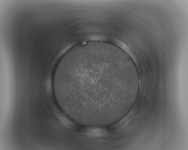 X0000111650249200907241137