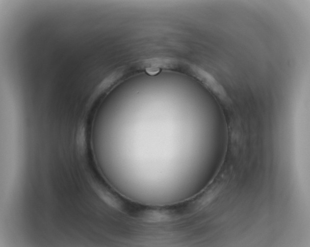 X0000111650250200907241137