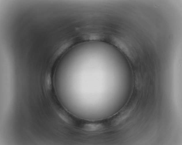 X0000111650251200907241137
