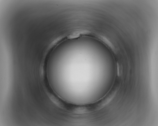 X0000111650252200907241137