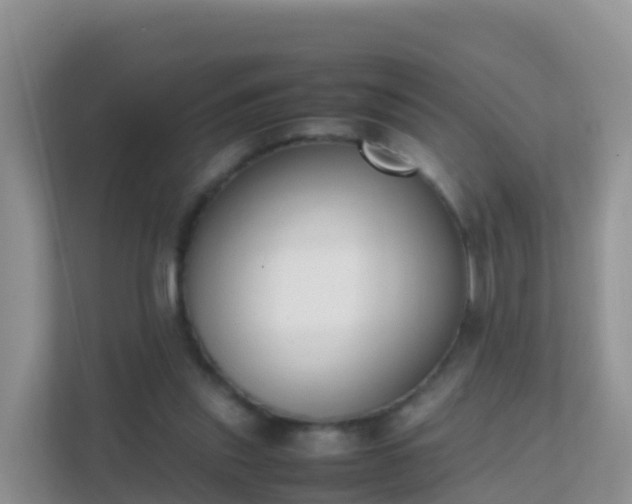 X0000111650253200907241137