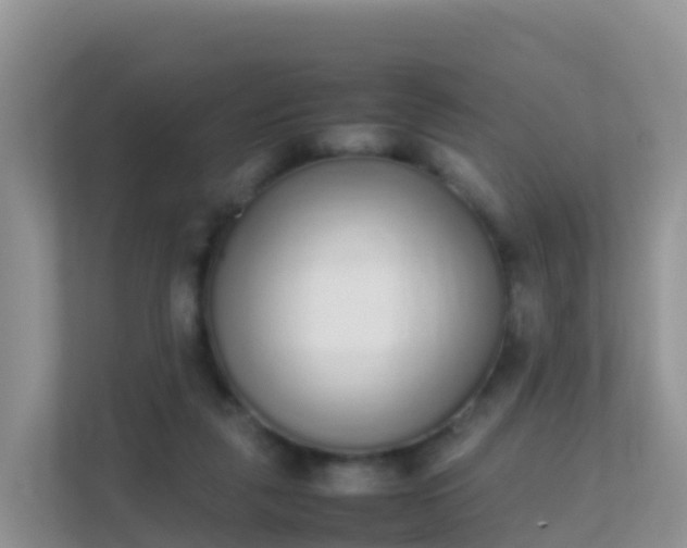 X0000111650259200907241137