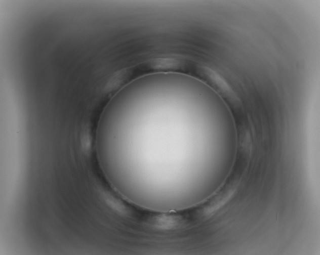 X0000111650261200907241137