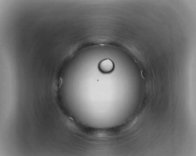 X0000111650264200907241137