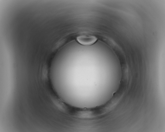 X0000111650266200907241137