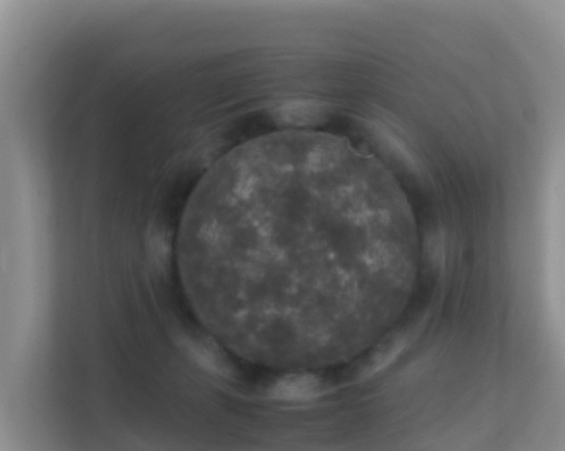 X0000111650271200907241137