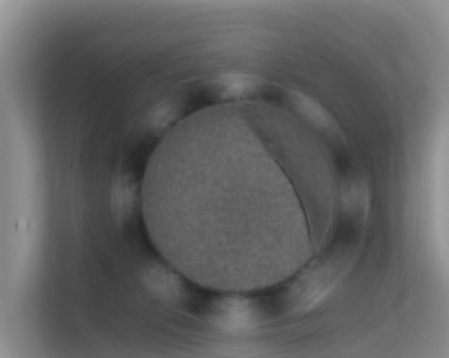 X0000111650276200907241137