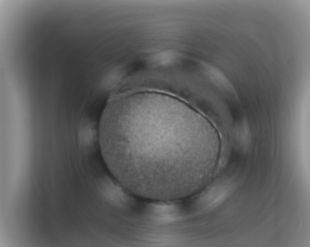 X0000111650284200907241137