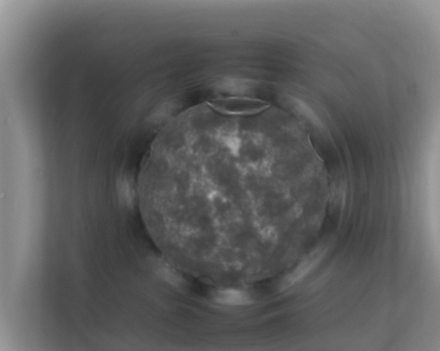 X0000111650285200907241137
