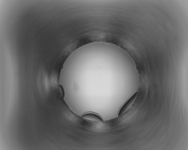 X0000111650287200907241138
