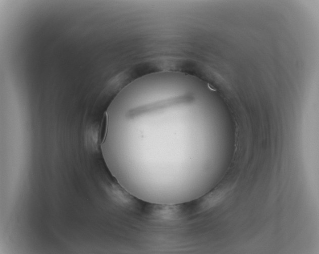 X0000111650288200907241138