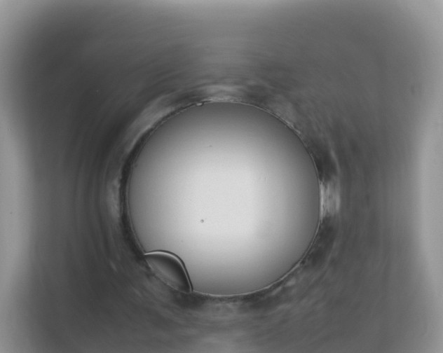 X0000111650291200907241137