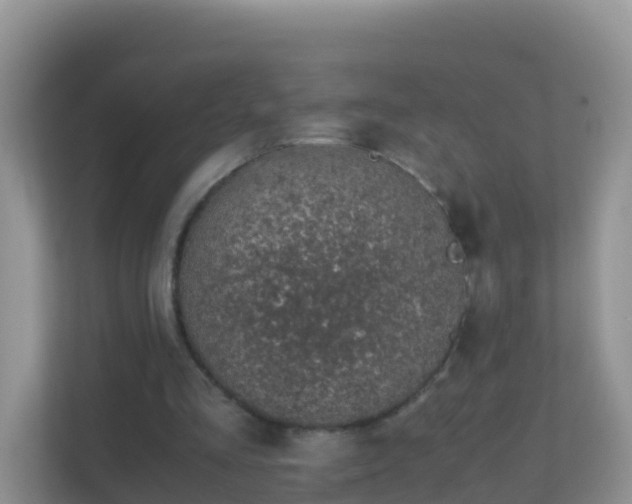 X0000111650293200907241137