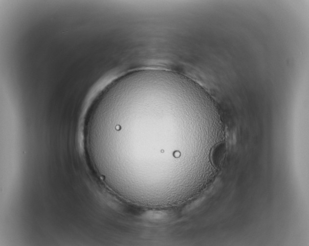 X0000111650294200907241137