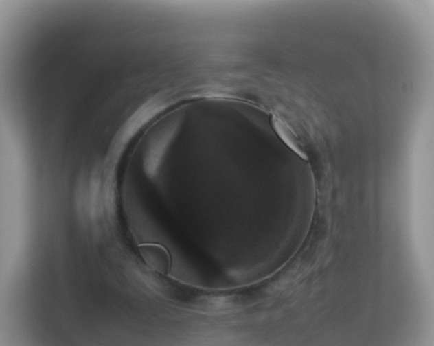 X0000111650295200907241137