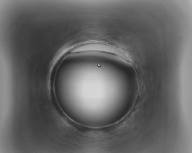 X0000111650296200907241137