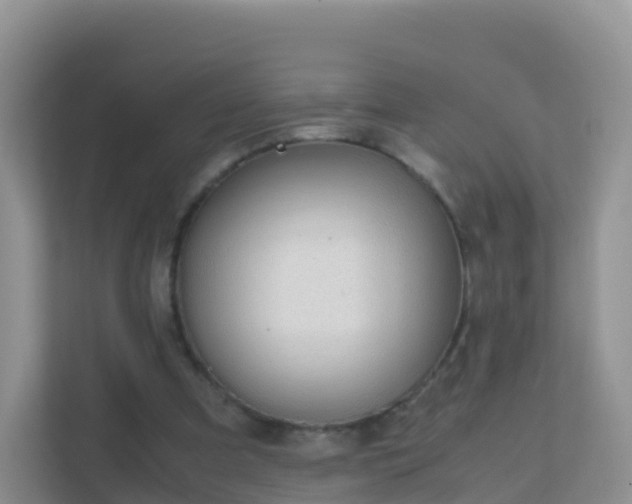 X0000111650297200907241137