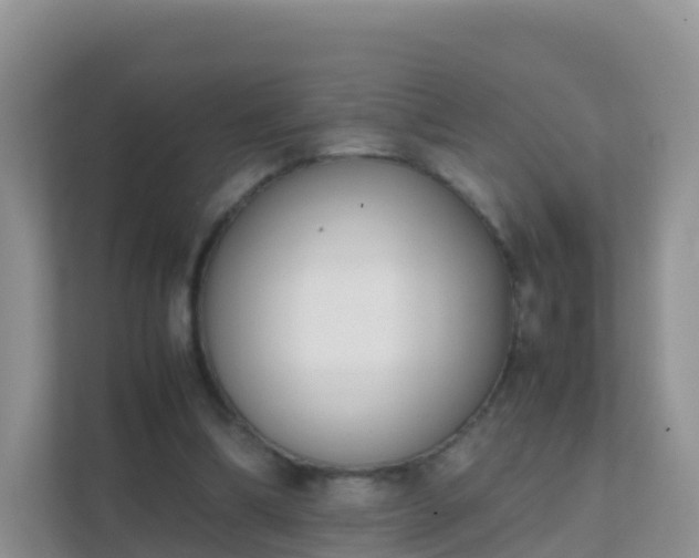 X0000111650298200907241137