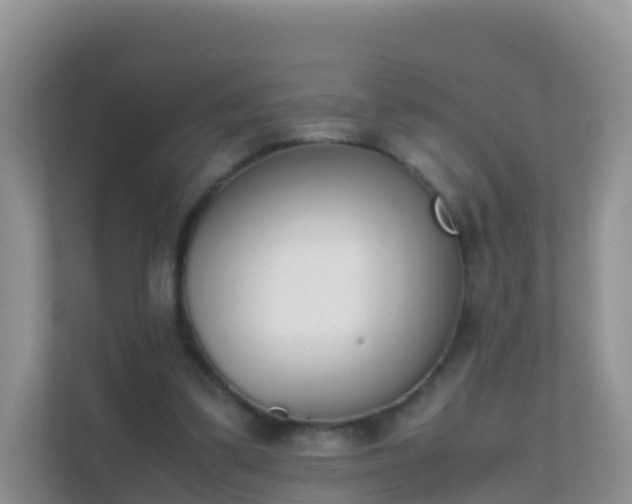 X0000111650299200907241137