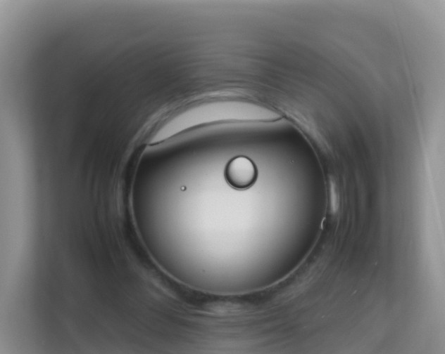 X0000111650300200907241137