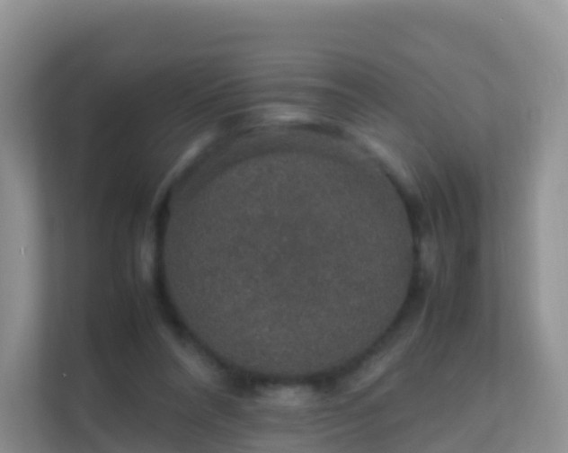 X0000111650304200907241137