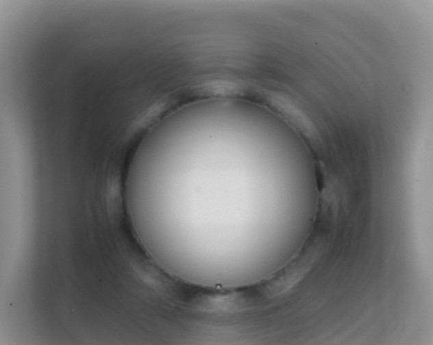 X0000111650306200907241137