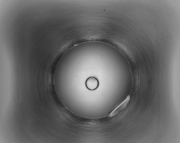 X0000111650308200907241137
