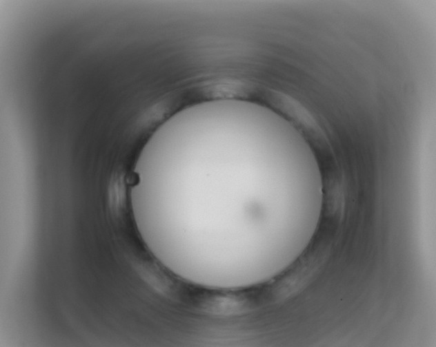 X0000111650310200907241137