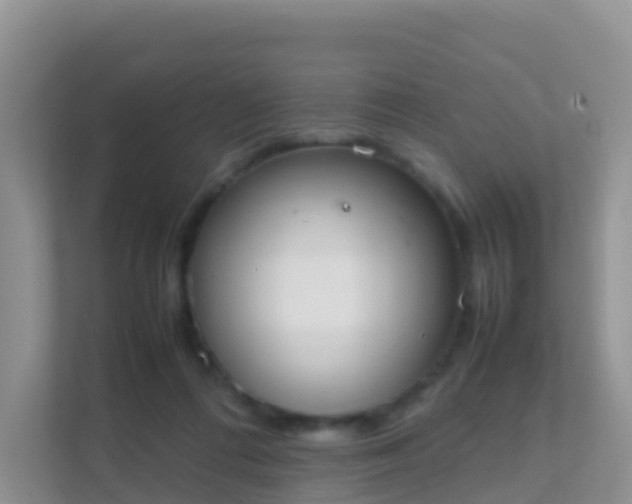 X0000111650312200907241137