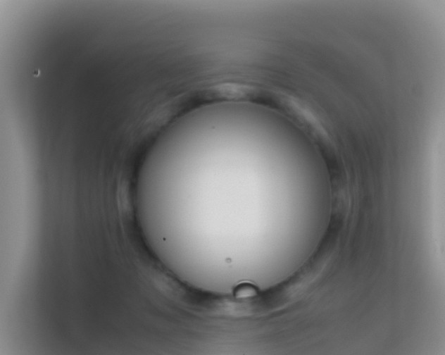 X0000111650317200907241137
