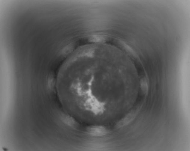 X0000111650322200907241136