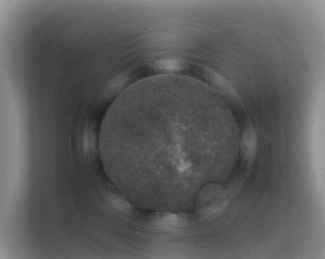 X0000111650330200907241136