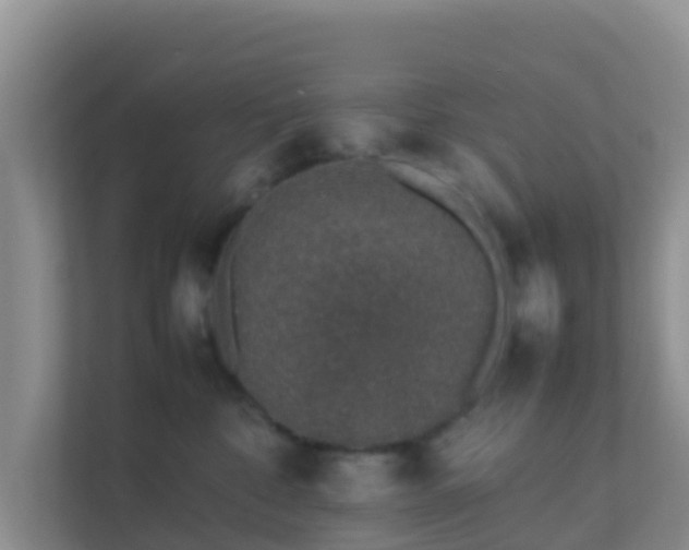 X0000111650332200907241136