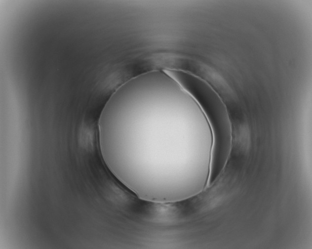 X0000111650333200907241136